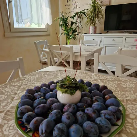 Fiore Отель типа 