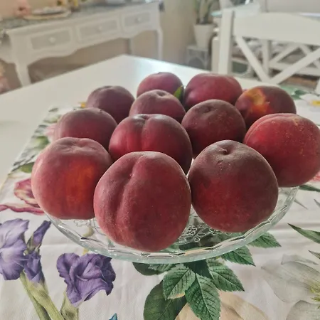 Fiore לינה וארוחת בוקר